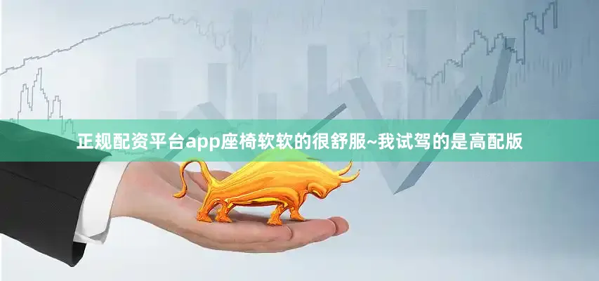 正规配资平台app座椅软软的很舒服~我试驾的是高配版