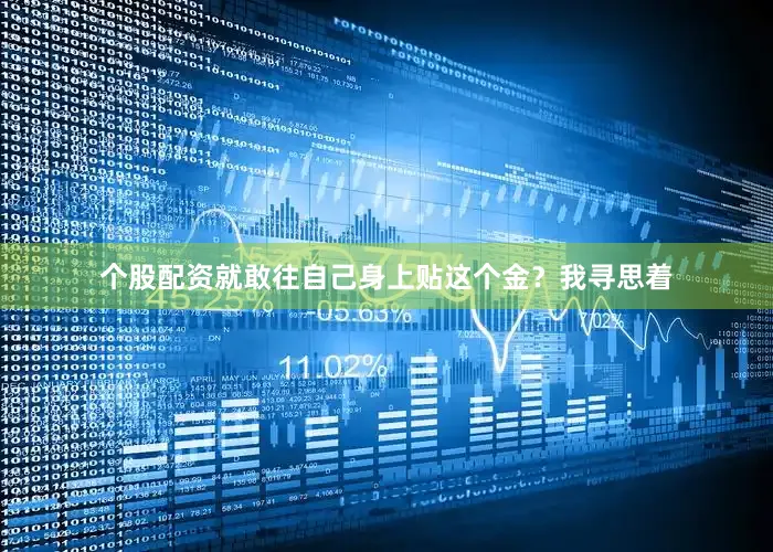 个股配资就敢往自己身上贴这个金？我寻思着