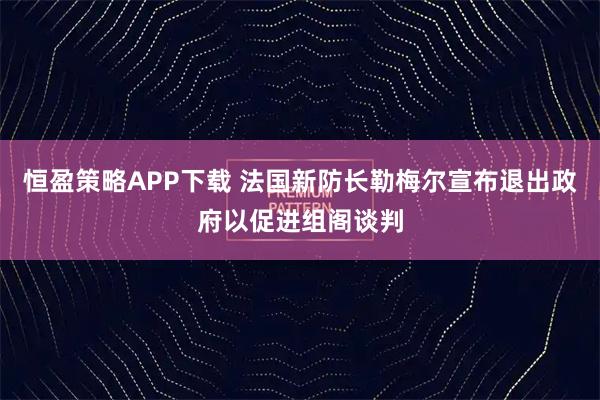 恒盈策略APP下载 法国新防长勒梅尔宣布退出政府以促进组阁谈判